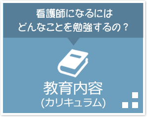 看護師になるにはどんなことを勉強するの？「教育内容(カリキュラム)」